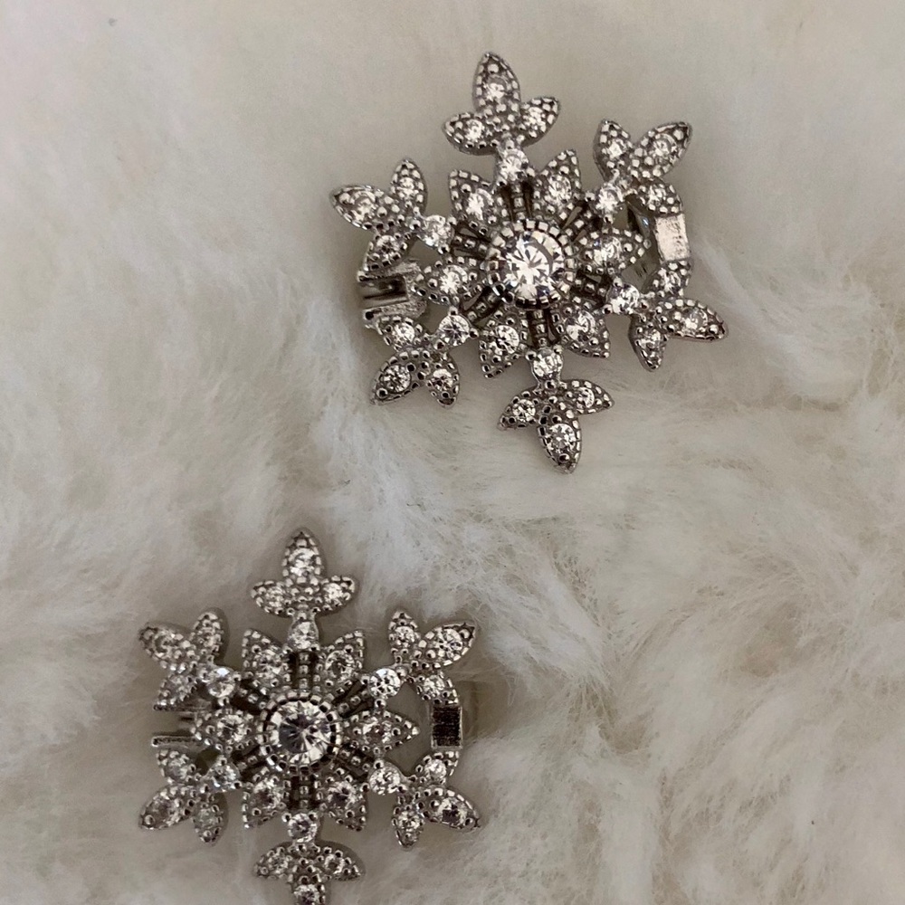 Pin/brooch